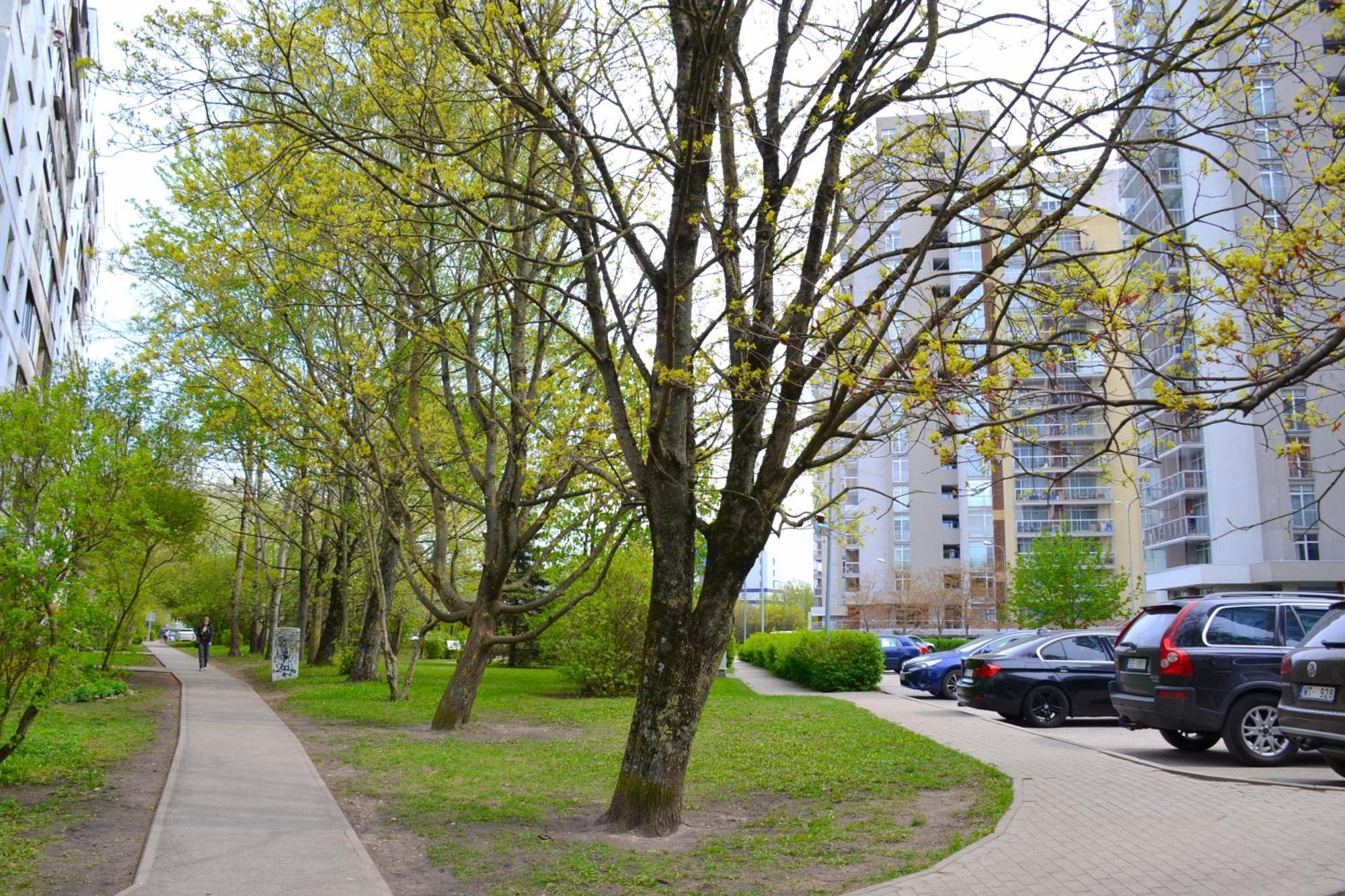 Leilighet Imanta 2х 52м2 *